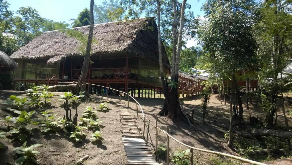 Amazon Queen Lodge Mazan Room photo